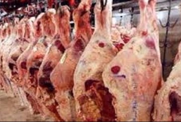 نابل: حجز 800 كلغ من اللحوم الحمراء في مخزن عشوائي ببني خيار