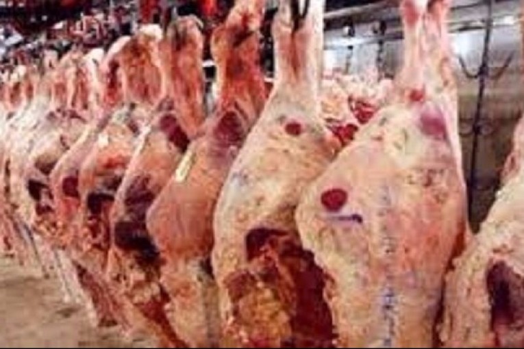 نابل: حجز 800 كلغ من اللحوم الحمراء في مخزن عشوائي ببني خيار