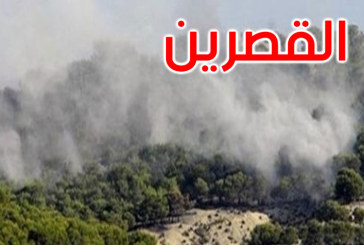 القصرين : نشوب حريق بعمق المنطقة العسكرية المغلقة بجبل سمامة