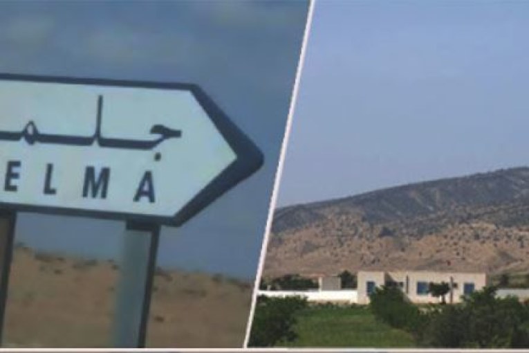 جلمة: إصابة شخص ونفوق دابة إثر إنفجار لغم بمنطقة تل السوايسية بجبل مغيلة