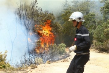 إطفاء 130 حريقا في مناطق مختلفة خلال الأربع وعشرين ساعة الماضية