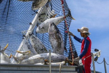 وطنيا وإقليميا.. تونس تتصدى للصيد غير القانوني