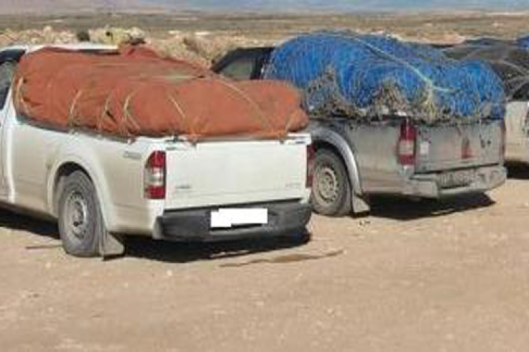 إحباط 74 عمليّة تهريب خلال الأسبوع الفارط وحجز بضائع مهربة تفوق المليونين ونصف