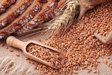 ارتفاع اسعار القمح بنسبة 12،8 بالمائة