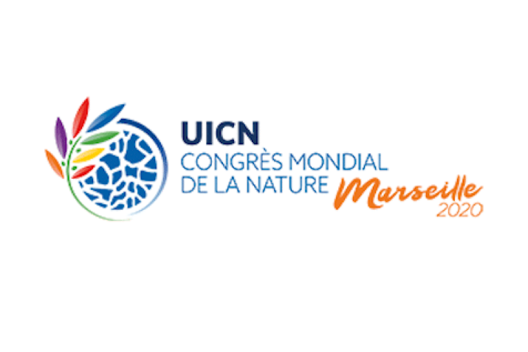 انتخاب الخبيرة التونسية ايمان مليان مستشارة إقليمية بمجلس الاتحاد الدولي لحماية الطبيعية