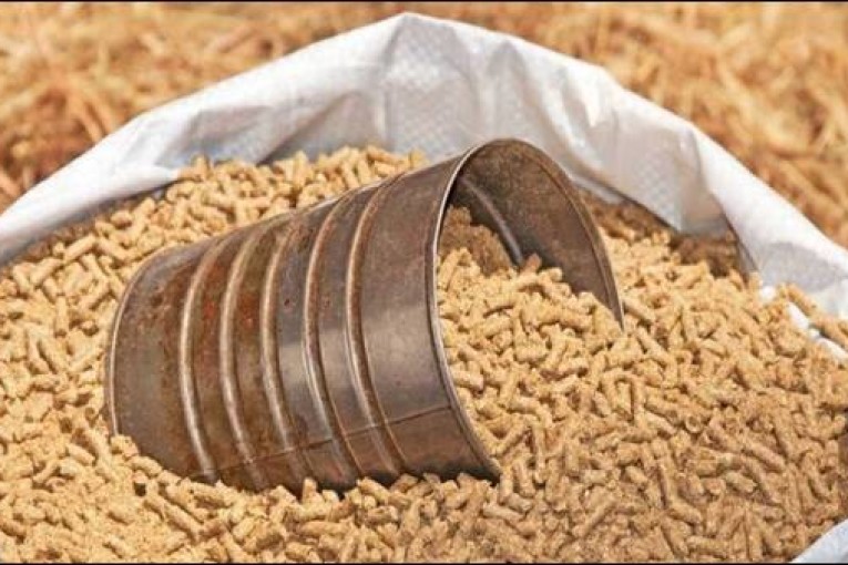 القصرين: حجز أكثر من 20 طنا من الاعلاف الحيوانية المدّعمة