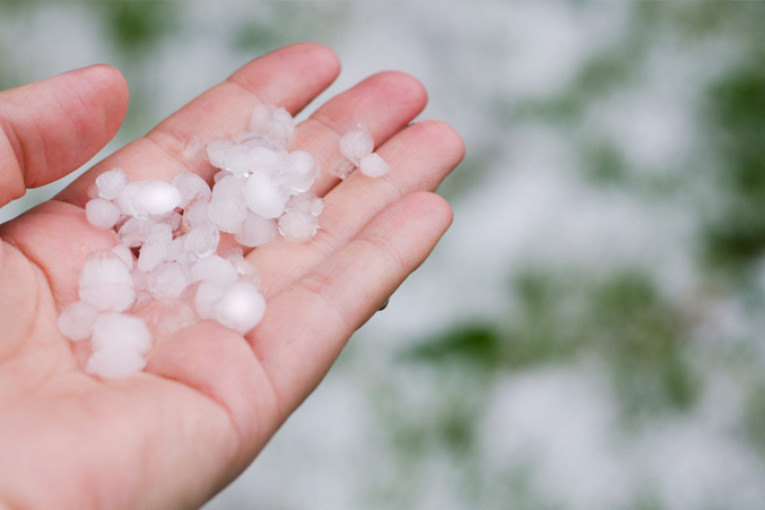 القصرين: تضرّر مساحات متفاوتة من الأشجار المثمرة والزياتين والخضروات بسبب حجر البرد