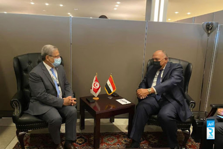 الجرندي يلتقي في نيويورك وزيرا خارجية مصر وصربيا