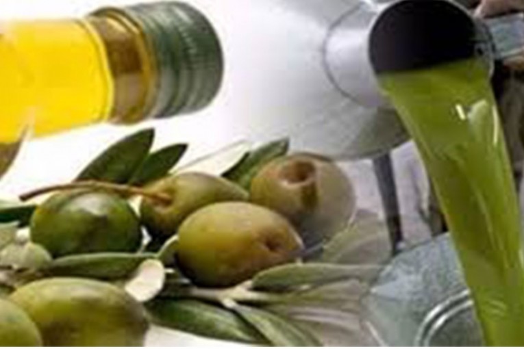 بنزرت: تقديرات بإنتاج 24 الف طن من الزيتون خلال الموسم الحالي وتحقيق صابة قياسية مقارنة بالمواسم السابقة