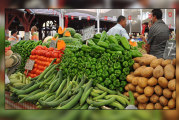 وزارة التجارة وتنمية الاقتصاد تنطلق في تنفيذ برنامجها الاستعجالي الخصوصي للمراقبة في قطاع الخضر والغلال