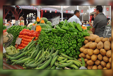 وزارة التجارة وتنمية الاقتصاد تنطلق في تنفيذ برنامجها الاستعجالي الخصوصي للمراقبة في قطاع الخضر والغلال