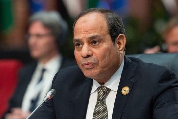 مصر تعلن استعدادها للتعاون مع الحكومة التونسية الجديدة