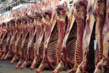 شركة اللحوم:لحم الضأن بأسعار أقل من 22 دينارا