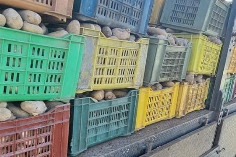 بنزرت: حجز 5 أطنان من البطاطا وإعادة ضخها في سوق الجملة