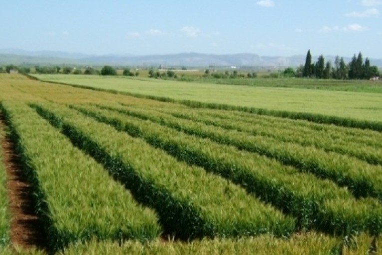 املاك الدولة تسترجع  عقارا فلاحيا دوليا بسبالة بن عمار يغطي مساحة 8 الاف متر مربع