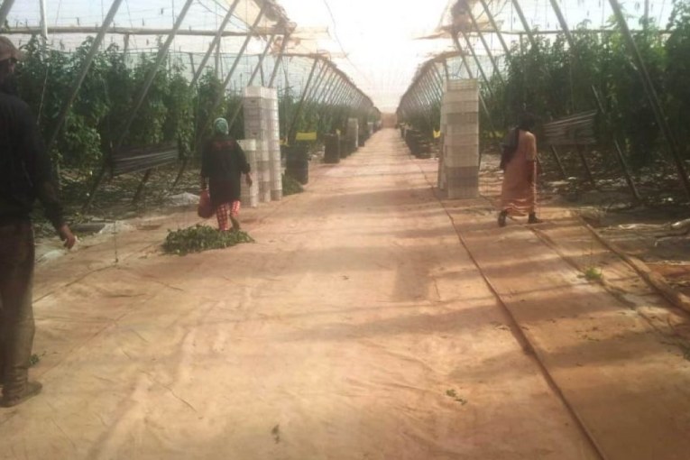 توجيه انذار لاسقاط الحق واسترجاع ضيعة فلاحية على مساحة 116 هك بشماس بقرنبالية