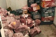 المنستير: حجز 200 كغ من اللحوم الحمراء الفاسدة بمخزن تبريد بطبلبة وإتلافها