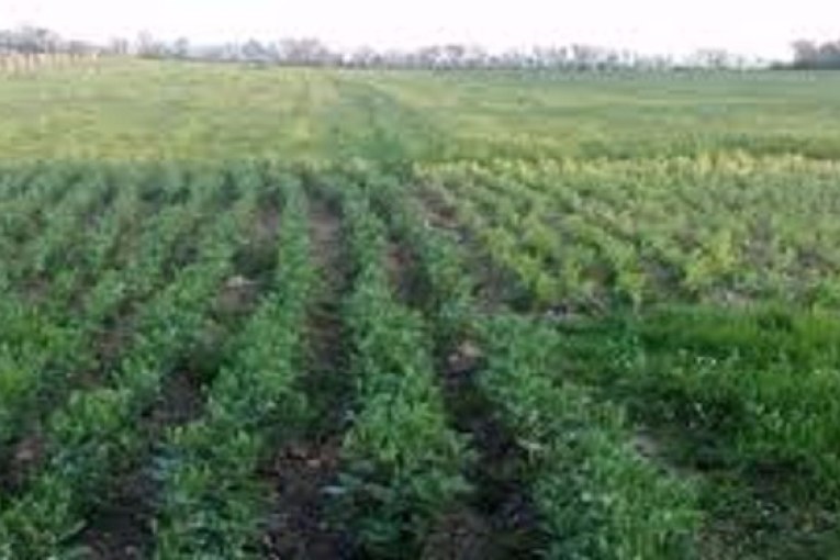 زغوان: استرجاع عقار على ملك الدولة يمسح 80 هكتارا