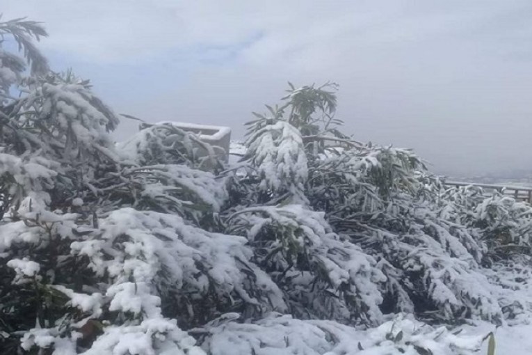 سليانة: تساقط كميات من الثلوج بمرتفعات معتمديتي مكثر وكسرى