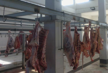 فتح بحث ابتدائي في اخلالات بمشروع المسلخ البلدي بتوزر