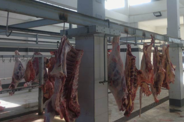 فتح بحث ابتدائي في اخلالات بمشروع المسلخ البلدي بتوزر