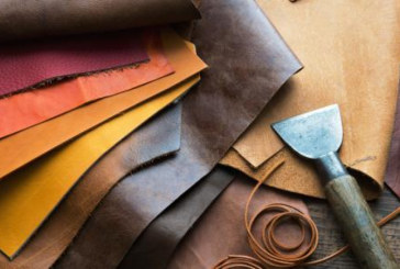 جامعة الجلود والأحذية تطالب بعرض مشاكل القطاع على مجلس وزاري مضيق