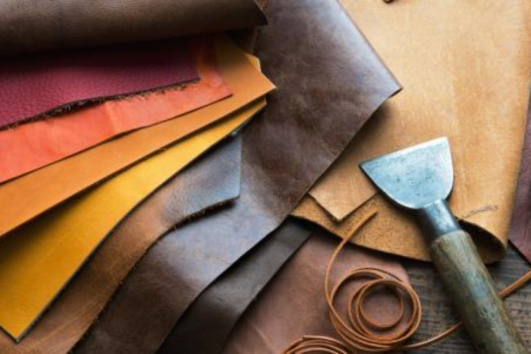 جامعة الجلود والأحذية تطالب بعرض مشاكل القطاع على مجلس وزاري مضيق