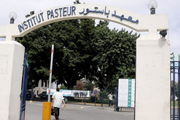 معهد باستور تونس يطلق في غضون شهرين منصة رقمية لمتابعة فيروس كورونا