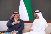 محمد بن زايد وملك البحرين يبحثان التطورات في المنطقة