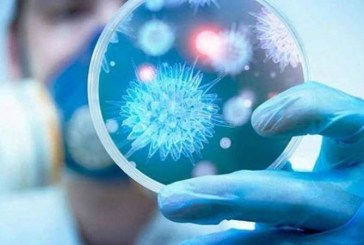 تسجيل 5 حالات وفاة و8460 إصابة جديدة بكورونا بتاريخ 13 جانفي 2022