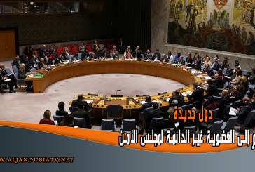 5 دول جديدة تنضم إلى العضوية غير الدائمة لمجلس الأمن