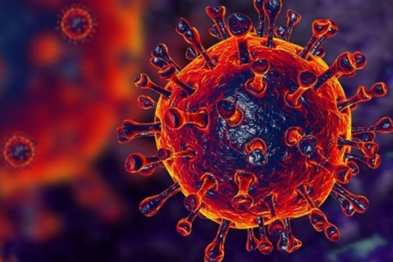 عضو اللجنة العلمية أمين سليم يرجّح إنتهاء الموجة الخامسة من كورونا مع بداية شهر مارس