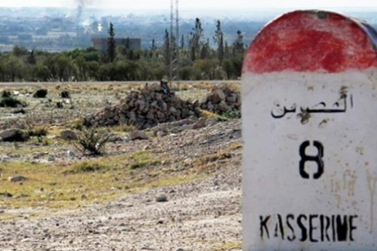 الفلاّحون يحتجّون‎‎ بسبب المحتكرين والمضاربين في مادّة العلف…