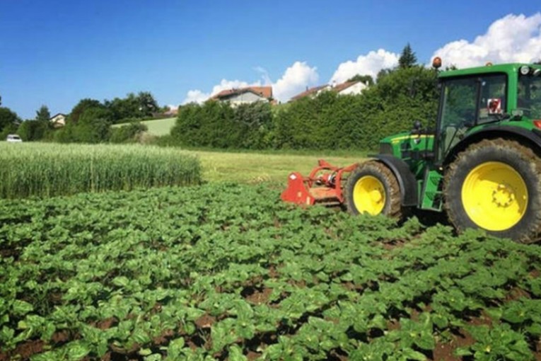 تطوّر قيمة الاستثمارات االفلاحية المصادق عليها في 2021 بـ13.5%