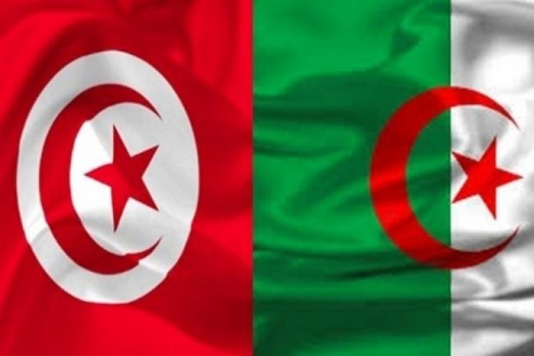 بودن تدعو ولاّة المناطق الحدودية لتشجيع بعث مشاريع مشتركة بين تونس والجزائر