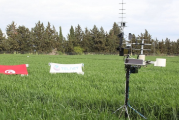 جندوبة :إطلاق أول تجربة تونسية وافريقية في استخدام القمر الصناعي التونسي ’تحدي واحد’ في مجال الفلاحة الذكية وزراعة الحبوب