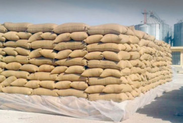 وزير الفلاحة: كل المواد الأساسية متوفرة ولا إشكال في التزود بالحبوب‎‎