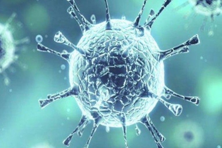 كورونا: 6 وفيات و511 إصابة جديدة