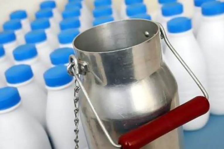 منوبة: غلق مركز تجميع للحليب بعد ضبط مواد كيميائية محجر استعمالها