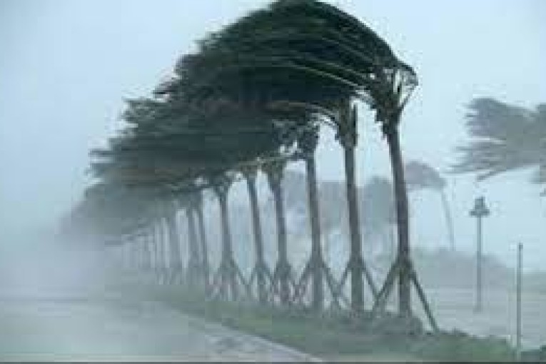 حالة الطقس اليوم الثلاثاء : تواصل تهاطل الأمطار