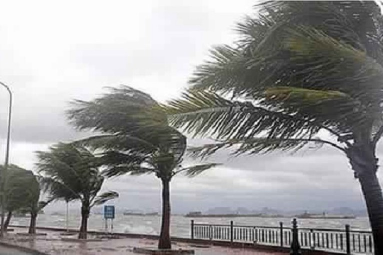 أمطار رعدية بأغلب الجهات ورياح رملية بالجنوب