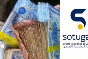 الشركة التونسية للضمان توقع اتفاقيات تعاون مع عدد من البنوك لاستغلال آلية الضمان السريع ومنصتها الرقمية