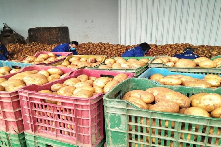 سيدي بوزيد : تخصيص 450 طنا من البطاطا و420 الف بيضة