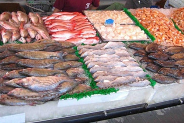 ارتفاع صادرات منتوجات الصيد البحري إلى حوالي 5.4 ألف طن بقيمة 106 مليون دينار موفى فيفري 2022