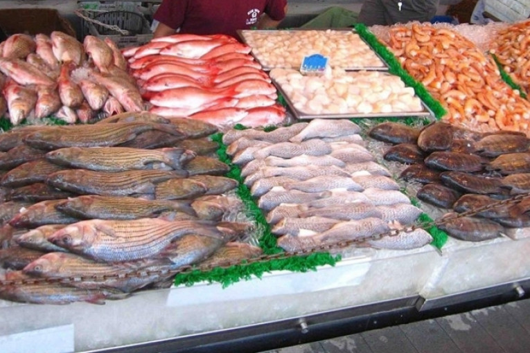 ارتفاع صادرات منتوجات الصيد البحري إلى حوالي 5.4 ألف طن بقيمة 106 مليون دينار موفى فيفري 2022