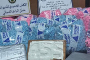 ميناء حلق الوادي: 116 ألف حبة اكستازي و3 كلغ من الكوكايين بحوزة مسافر
