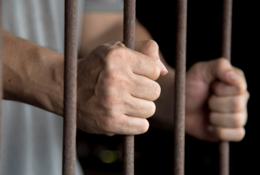 في انتظار ورود نتائج الاختبار: تأجيل النظر في قضية ”وشواشة”