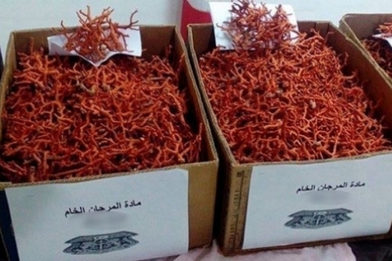 تأجيل النظر في قضية تهريب كميات ضخمة من المرجان