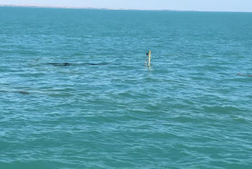 المجيدي: لا تسرّب من السفينة الغارقة.. والعملية معقدة ولا تحتمل الخطأ