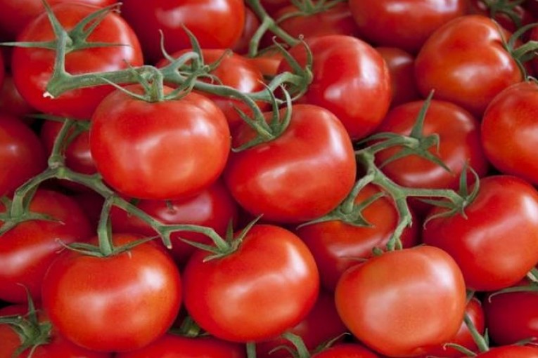 نابل: حجز أكثر من طُنـين طماطم طازجة مُعدة للترويج خارج المسالك القانونية